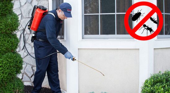 Altıeylül Gümüşkurt İlaçlama böcek ilaçlama ve haşere kontrolü — ilaclama-tr.com